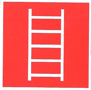 Imagen de CIC-162